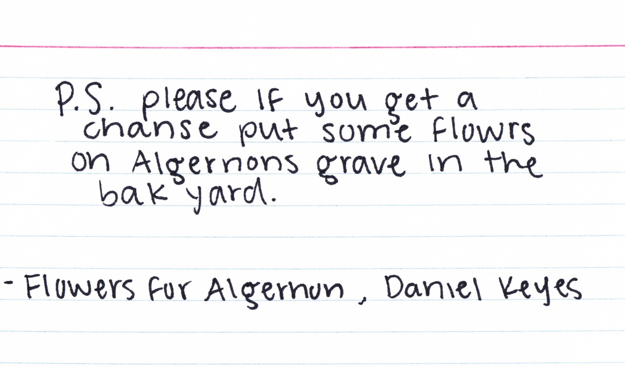 Flowers For Algernon Fileshare